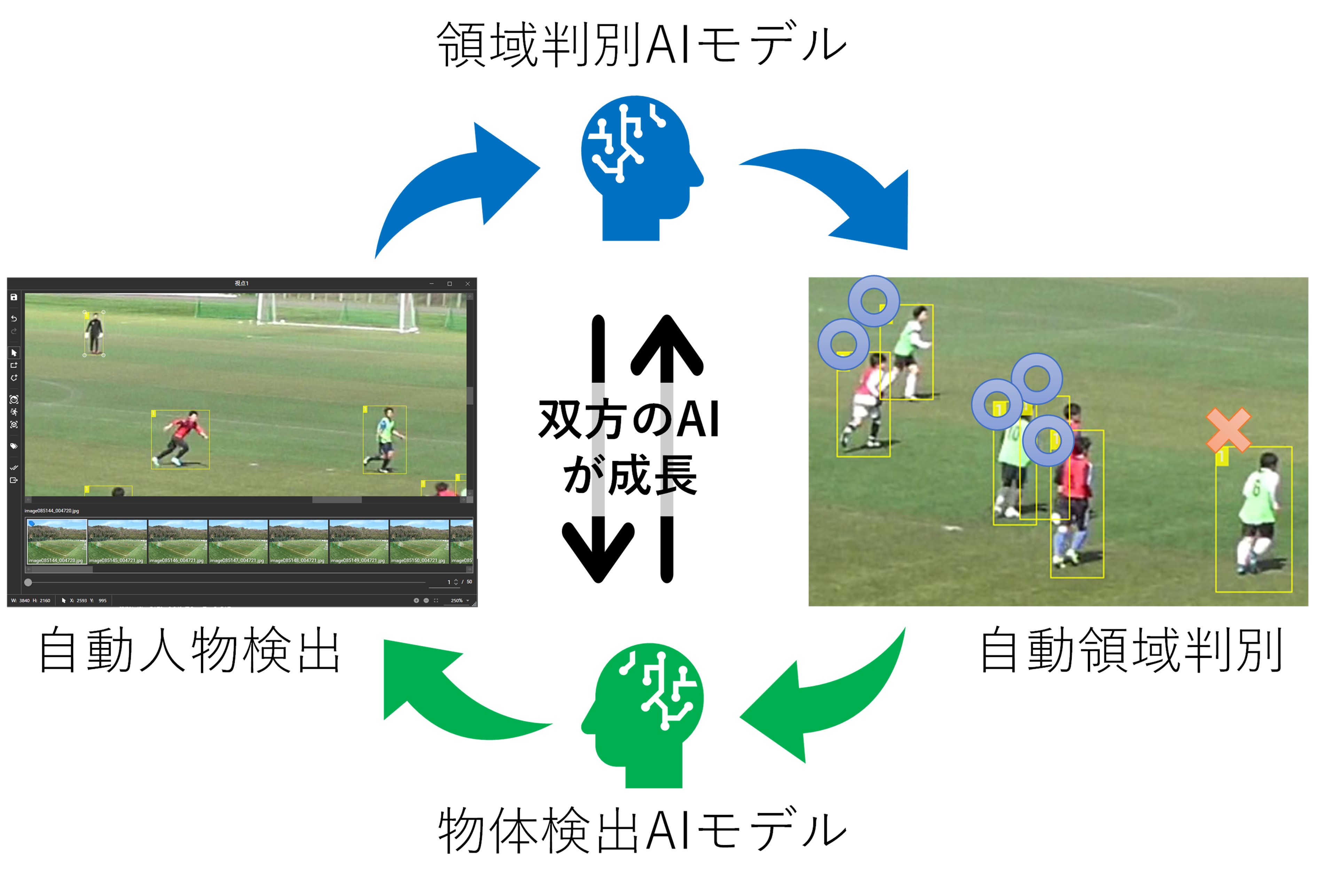 図3 成長する人物検出AIモデル