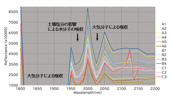 図2 現地調査地点による短波長赤外の吸収特徴